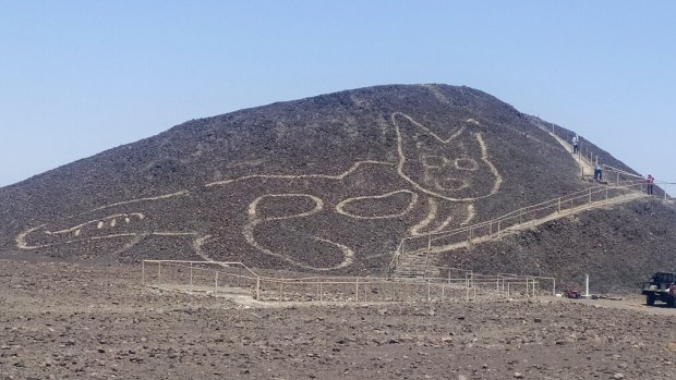 The figure of a feline on a hillside in Nazca, Peru.
