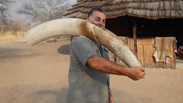Nick Haridemos poses with ivory while on safari in Namibia. 