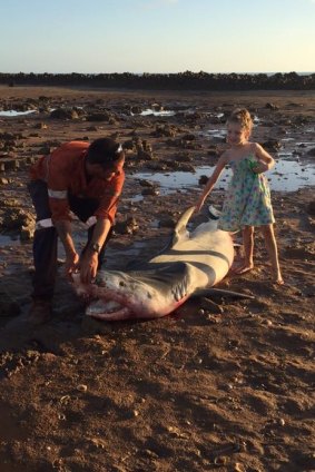 John Bishop and Toni examine the dead tiger shark at Cooke Point in Port Hedland.