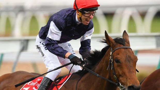 Kerrin McEvoy on Almandin at the 2016 Melbourne Cup.