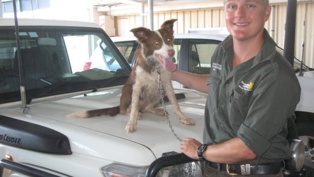 Plain Clothes Constable Nick Hemp with Jasmin - a puppy stolen from Perth and found in Cloncurry