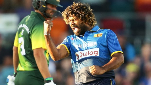 Lasith Malinga of Sri Lanka celebrates taking the wicket of D'Arcy Short at Manuka Oval.