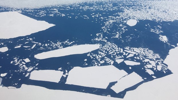 Melting moments: sheets of ice adrift along the Antarctic coast.