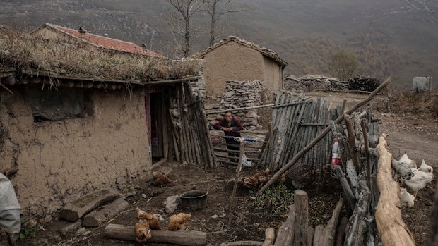 Han Guiying, who, with her husband, has no income and receives no government aid, watches their chickens in Chashan, China.