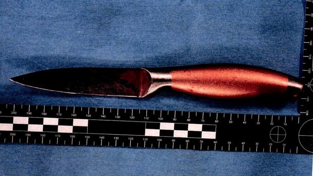 The knife allegedly used to murder Salwa Haydar.