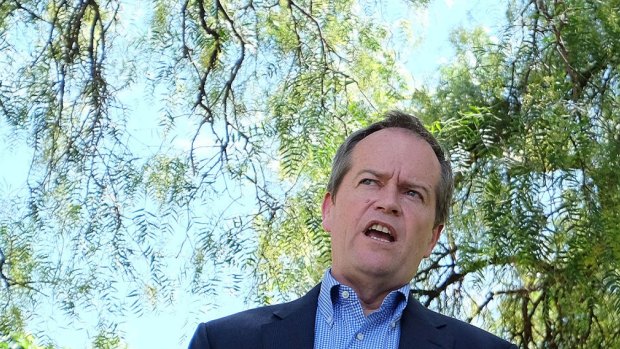 Opposition Leader Bill Shorten says Peta Credlin isn't to blame for Prime Minister Tony Abbott's mistakes.