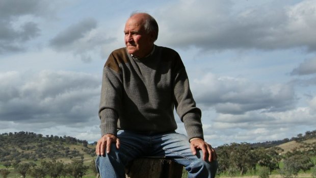 Tony Windsor is aiming for a  comeback less than three years after he retired.