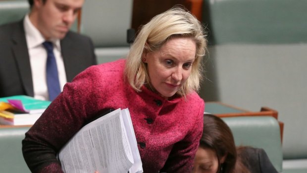 Alannah MacTiernan says she won't challenge WA Labor leader Mark McGowan.