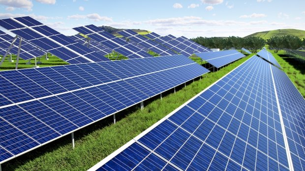 Redland City Council is considering entering the solar farming business.