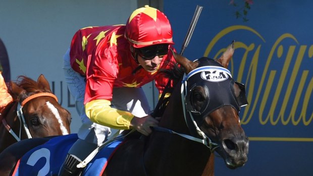 What a year: Dissident has been named Australian racing's Racehorse of the Year for 2014-2015.