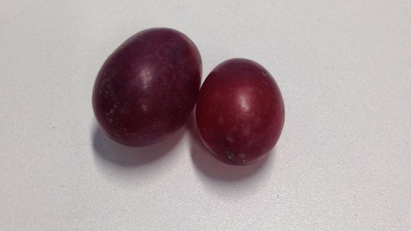 A red seedless grape, sold for $6.90 a kilo, retails for 2.8c. A 5c coin will get you one large, and one small, red seedless grape.