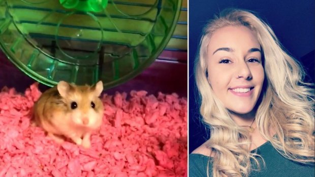 Belen Aldecosea, a college student from Miami Beach, says Spirit Airlines pressured her to flush Pebbles, her pet hamster, down an airport toilet.