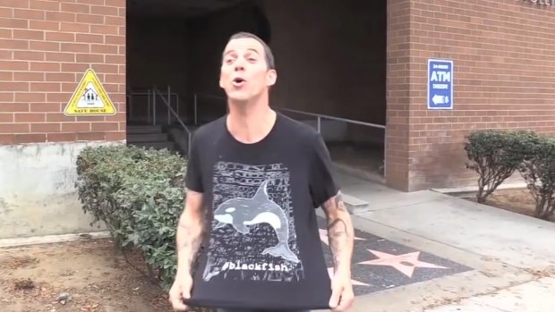 <em>Jackass </em>star Steve-O has been jailed for an anti-SeaWorld stunt in Hollywood