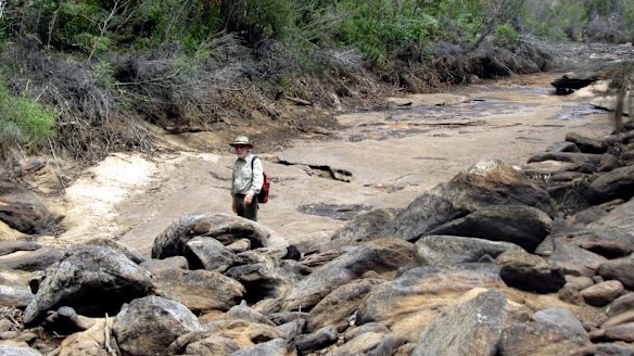 Waratah Rivulet, which flows into the Woronora Reservoir, displaying dried and cracked creek bed with underground mining nearby.