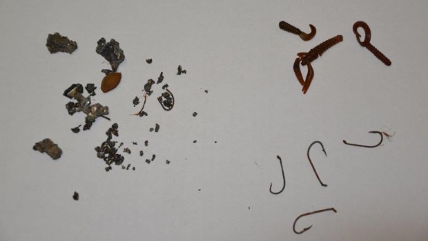 Fish hooks and metallic matter ingested by a dog in Canberra