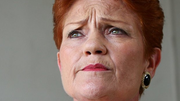 "I have the final say on who represents One Nation," Pauline Hanson tweeted on Saturday. 