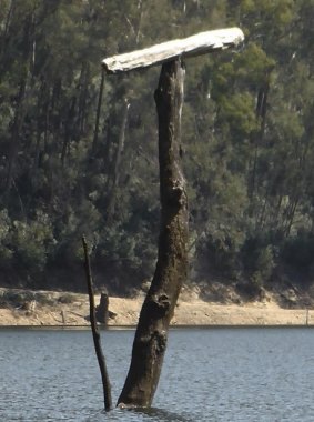 A precariously placed log at a dam in the Snowy Mountains is proving to be a mystery.