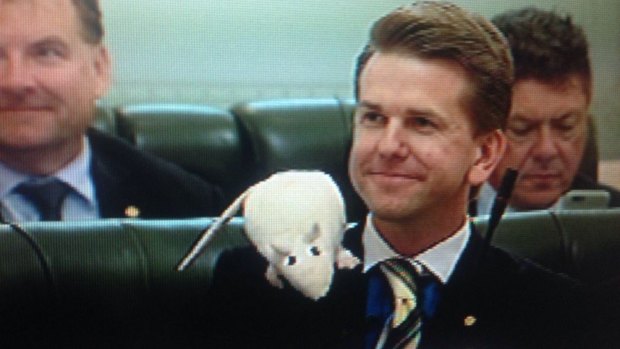 Jarrod Bleijie sports a rat in Queensland Parliament question time.