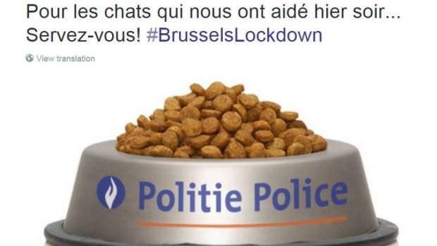 The picture tweeted by police after Brussels residents heeded pleas not to post or share information about the raids. It reads: "For the cats who helped us last night ... Help yourselves!"