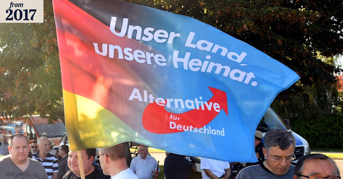 What is the AfD, Alternative for Germany party?