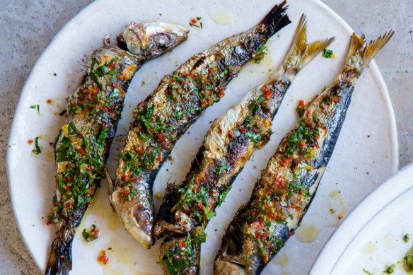 Barbecued sardines and burrata with charred zucchini and spring onions 