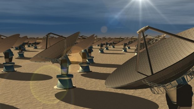 An artist's impression of the Square Kilometre Array being built in Western Australia.
