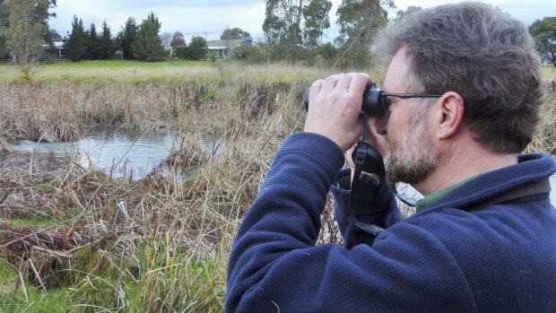 Birdwatcher Duncan McCaskill at the location on Ginninderra Creek where he first spotted the Australasian bittern.