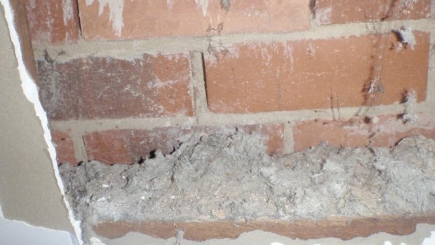 Loose-fibre asbestos in a home in Downer.