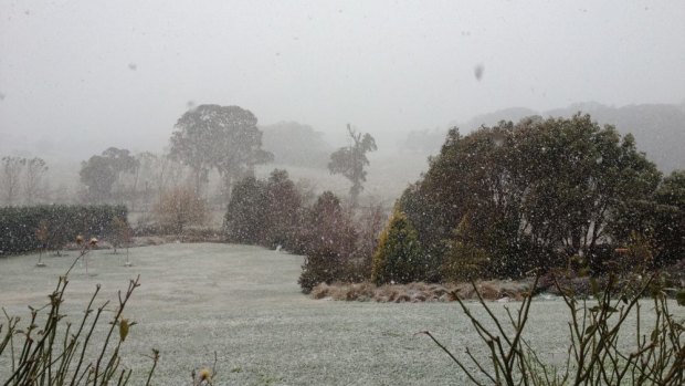 Snow falls at Black Springs, near Oberon in central western NSW.