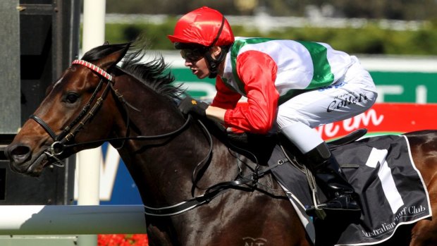 "He had a nice hit-out at home": Rebel Dane.