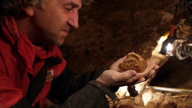Professor Juan Luis Arsuaga examines an artefact at the Sima de los Huesos site in Sierra de Atapuerca, Spain. 