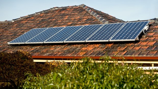 Environment spokeswoman Jackie Trad says "mum and dad" solar users are currently being punished.