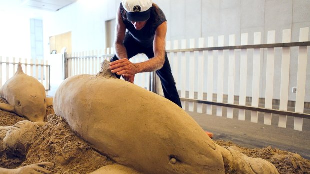 Dennis Massoud working on a dolphin sand sculpture at the Gold Coast Hilton Hotel in 2013 .