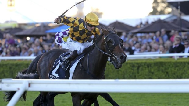 It's A Dundeel triumphed in Sydney's richest race, the $4 million Queen Elizabeth Stakes, at Randwick in 2014.