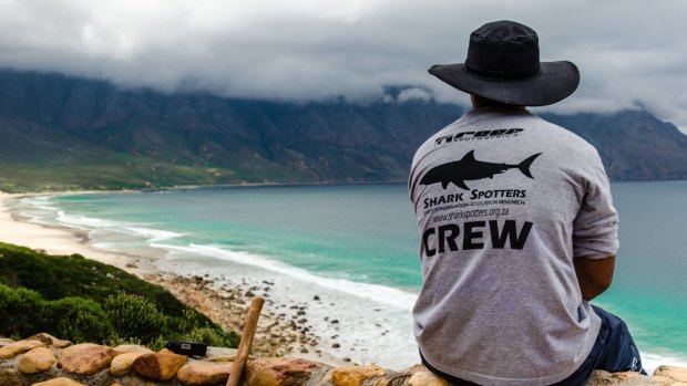 A shark spotter in South Africa - a trial will begin in WA.