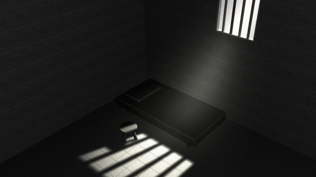 Amnesty International says the state government's mandatory sentencing laws are a harsh and punitive approach.