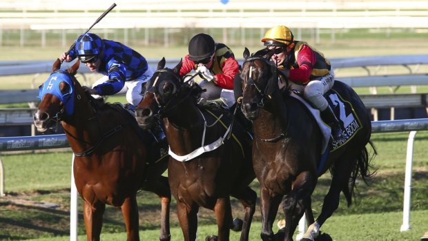 The Doomben track was declared unsafe for racing.