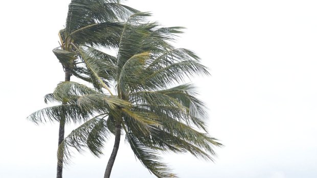Weather forecasters say a cyclone is likely to form off the Queensland coast this weekend. 