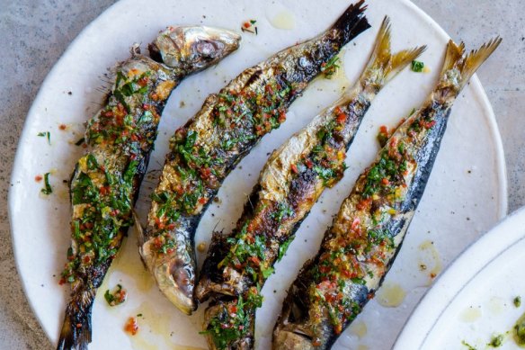 Barbecued sardines and burrata with charred zucchini and spring onions 