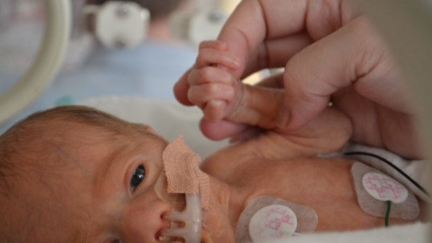 A helping hand: Eugenia Sequeira-Leo's son Levi in the Special Care Nursery at Dandenong Hospital.