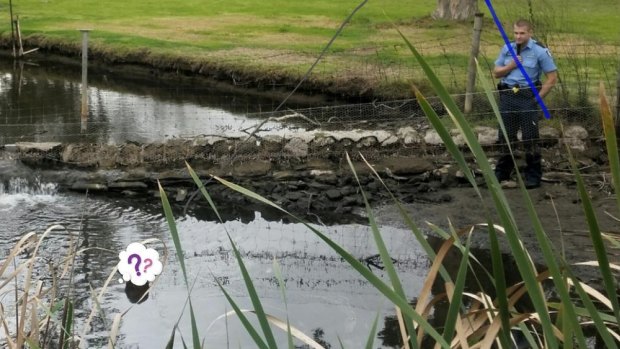 The Canning Vale constable remained dry as he coaxed the man from the Canning River.