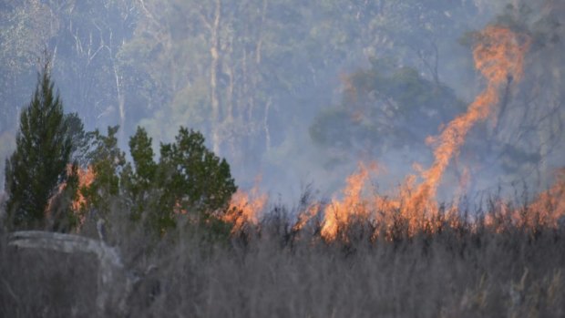 Flames surround the crash site.