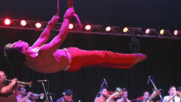 A festival of firsts: ten piece Balkan Brass ensemble Uska Kan accompanied the Circus Spectacular at the Woodford Folk Festival.