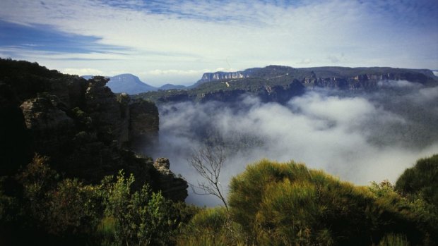 Mist in the valley near Narrow Neck, close to where the hikers were last seen.