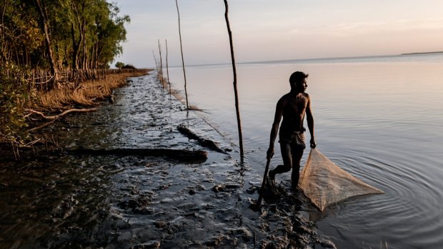 A fisherman in August in the Sundarbans, where cholera first emerged.
