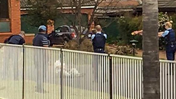 Armed police subdue Ihsas Khan after he allegedly stabbed Wayne Greenhalgh in Minto on Saturday.