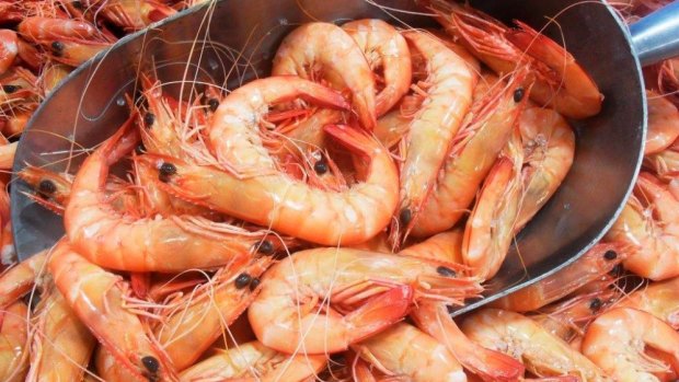 Raw data:  Australians eat almost a dozen prawns each on average during the festive season.