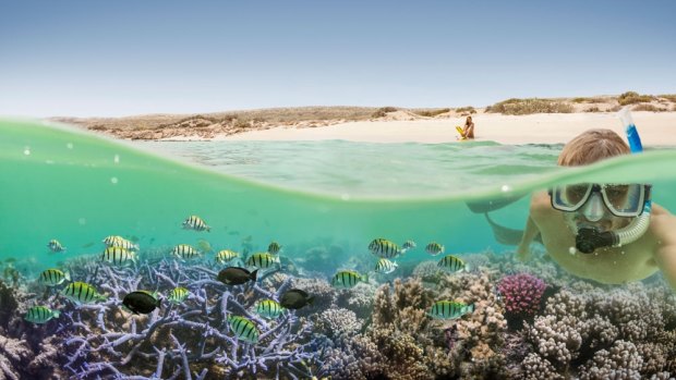 The videos are hoped to bring in more interstate visitors to the whole of WA - including Ningaloo.