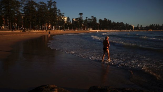 The shark nets at Manly Beach are blamed for 'indiscriminately catching and trapping a lot of marine life'.
