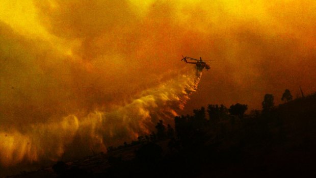 A helicopter water bombs a pine plantation near the Brindabellas during the 2003 Canberra bushfires. 